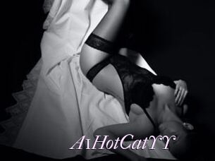A1HotCatYY