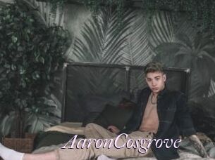 AaronCosgrove