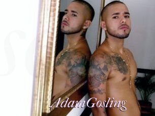 AdamGosling