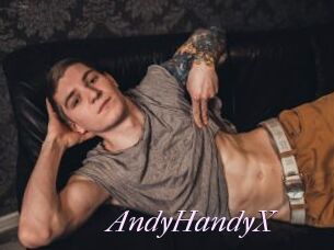 AndyHandyX