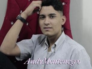 AndyMontenegro