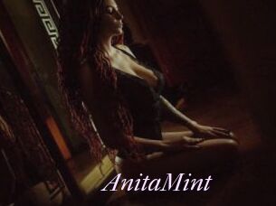 AnitaMint