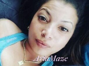 Aria_Maze