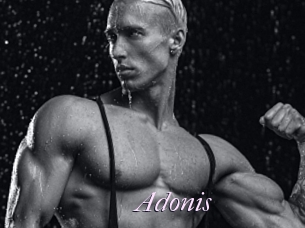 Adonis