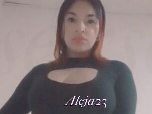 Aleja23