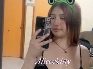 Aliceekitty