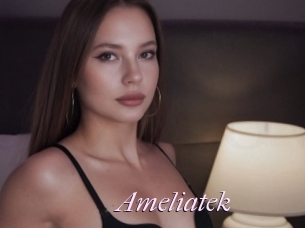 Ameliatek