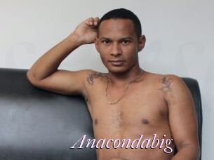 Anacondabig