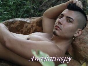 Andylatinguy