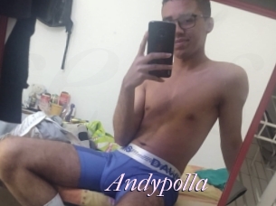 Andypolla