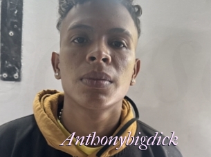 Anthonybigdick