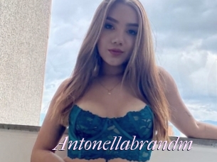 Antonellabrandm