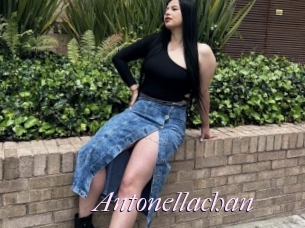 Antonellachan