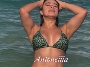 Antonellla