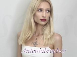 Antoniabracher