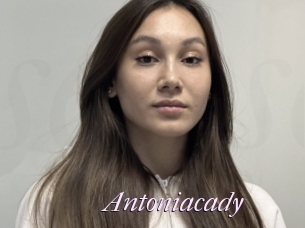 Antoniacady