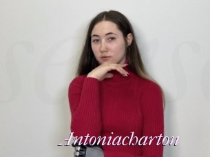 Antoniacharton