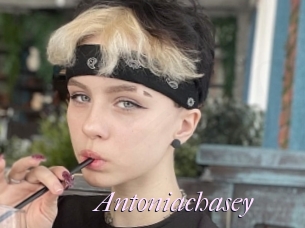 Antoniachasey