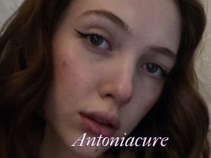 Antoniacure