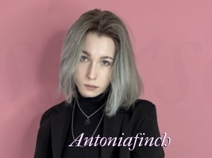 Antoniafinch