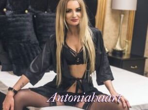 Antoniahaart