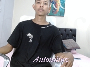 Antonilinz