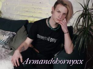 Armandohornyxx