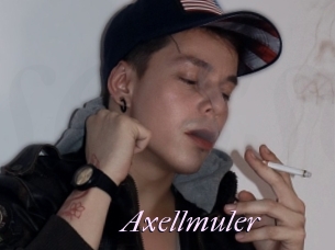 Axellmuler