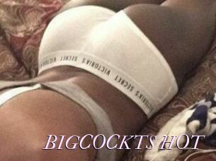 BIGCOCKTS_HOT