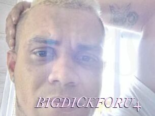 BIGDICKFORU4