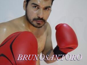 BRUNOSANTORO