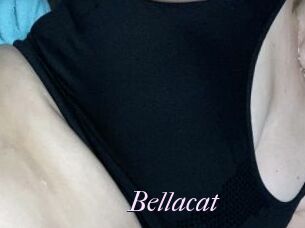 Bellacat