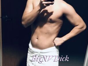 BigNVDick