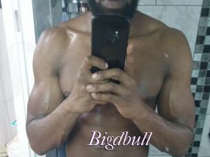 Bigdbull