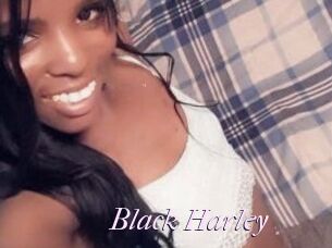 Black_Harley