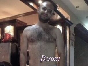 Bosom