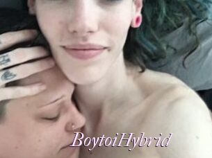 BoytoiHybrid