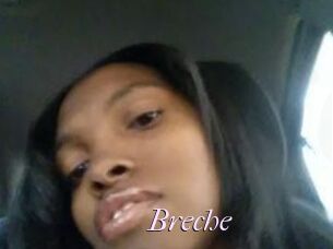 Breche