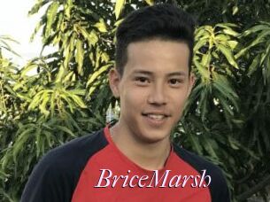 BriceMarsh