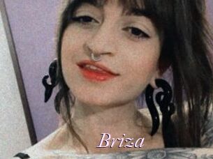 Briza