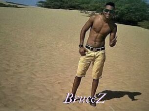 BruceZ