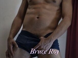 Bruce_Roy