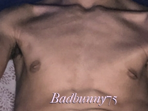 Badbunny75