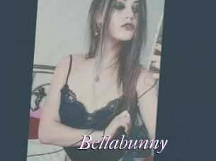 Bella_bunny