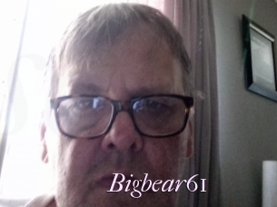 Bigbear61