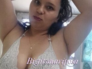 Bigtitsmariposa