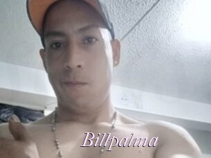 Billpalma