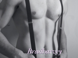 Bradharvey