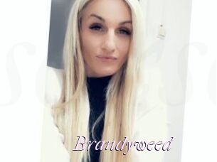 Brandyweed