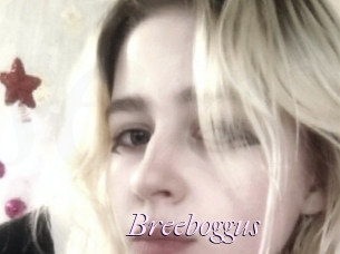 Breeboggus